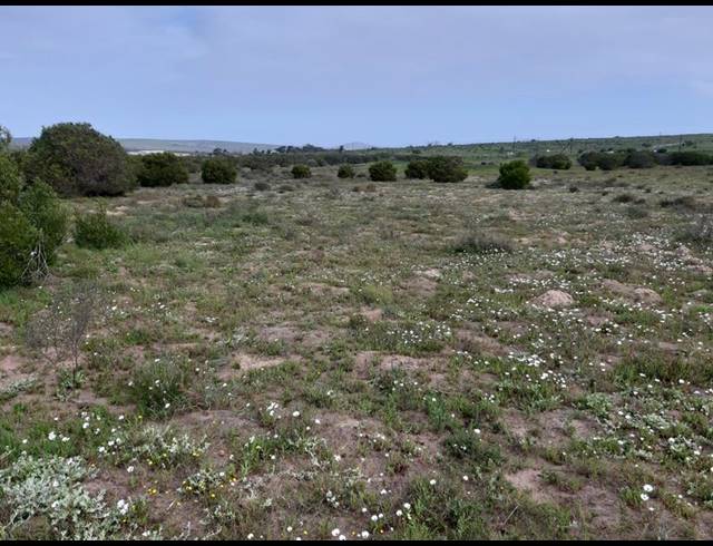 LAND FOR SALE IN LONG ACRES